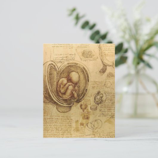 da Vinci - Embryo Sketch Briefkaart (Staand voorkant)