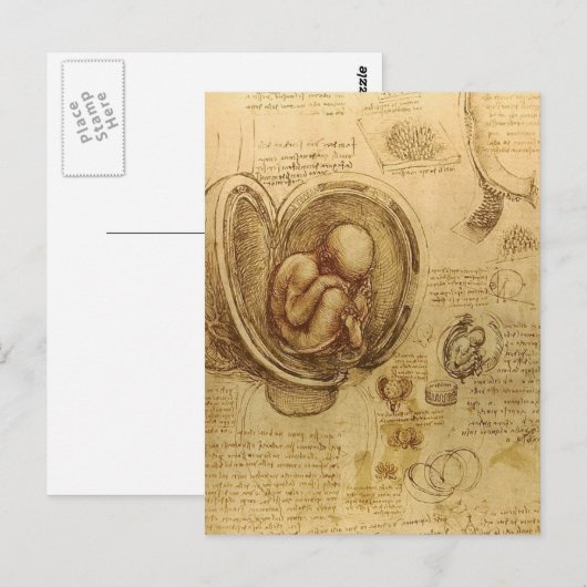 da Vinci - Embryo Sketch Briefkaart (Voorkant / Achterkant)