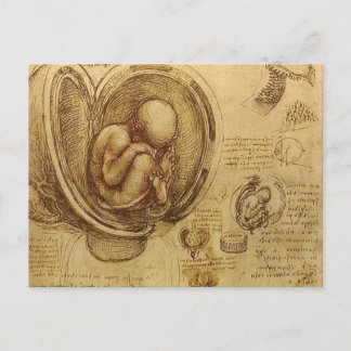 da Vinci - Embryo Sketch Briefkaart
