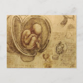 da Vinci - Embryo Sketch Briefkaart (Voorkant)
