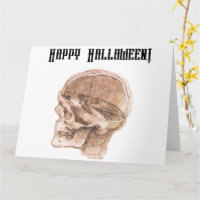 Da Vinci Halloween Wetenschap Anatomie Schedel Pri