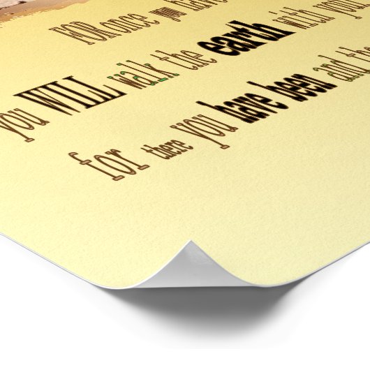 Da Vinci Helikopter Geweldige begroting Speciaal P Poster (Hoek)