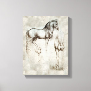 Da Vinci Horse Canvas Afdruk