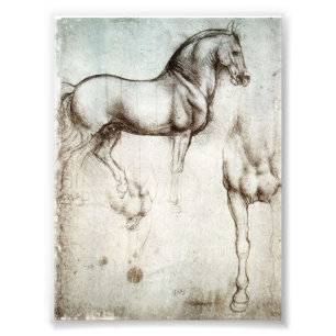 Da Vinci Horse Foto Afdruk