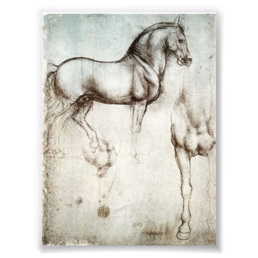Da Vinci Horse Foto Afdruk (Voorkant)