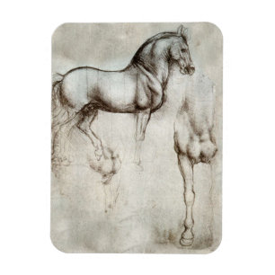 Da Vinci Horse Magnet Magneet