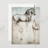 Da Vinci Horse Postcard Briefkaart (Voorkant / Achterkant)