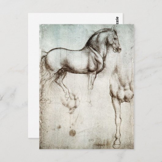 Da Vinci Horse Postcard Briefkaart (Voorkant / Achterkant)