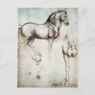 Da Vinci Horse Postcard Briefkaart