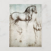 Da Vinci Horse Postcard Briefkaart (Voorkant)