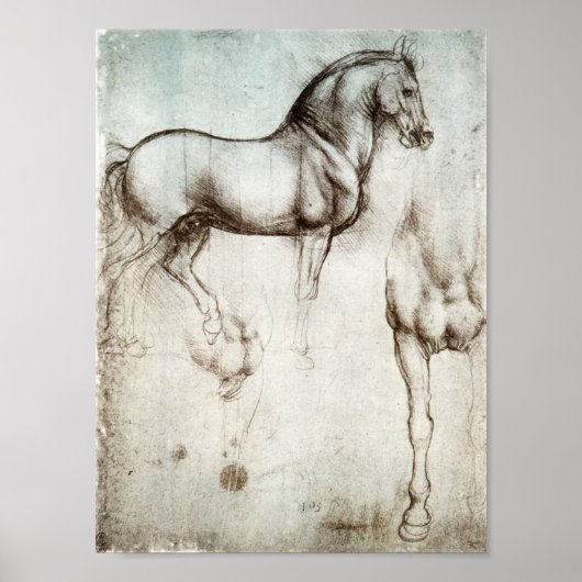 Da Vinci Horse Poster (Voorkant)