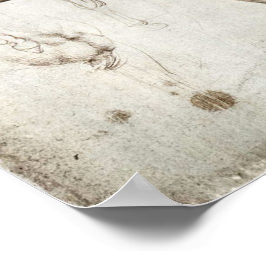 Da Vinci Horse Poster (Hoek)