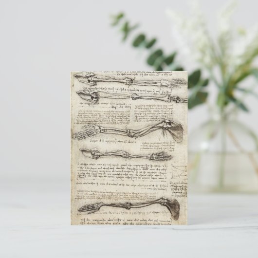 Da Vinci, Leonardo - Studie naar de anatomie Briefkaart (Staand voorkant)