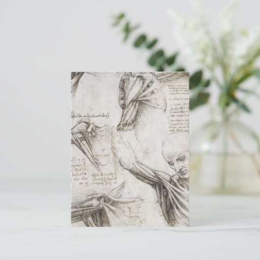 Da Vinci, Leonardo - Studie naar de anatomie Briefkaart (Staand voorkant)