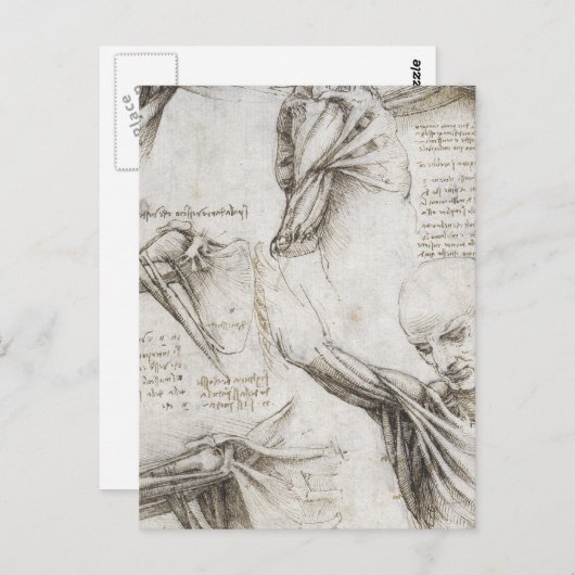 Da Vinci, Leonardo - Studie naar de anatomie Briefkaart (Voorkant / Achterkant)