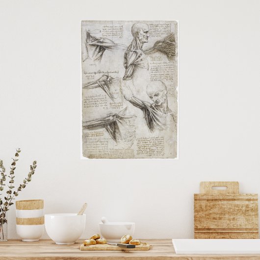 Da Vinci, Leonardo - Studie naar de anatomie Poster (Keuken)