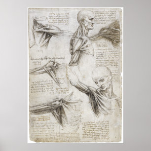 Da Vinci, Leonardo - Studie naar de anatomie Poster
