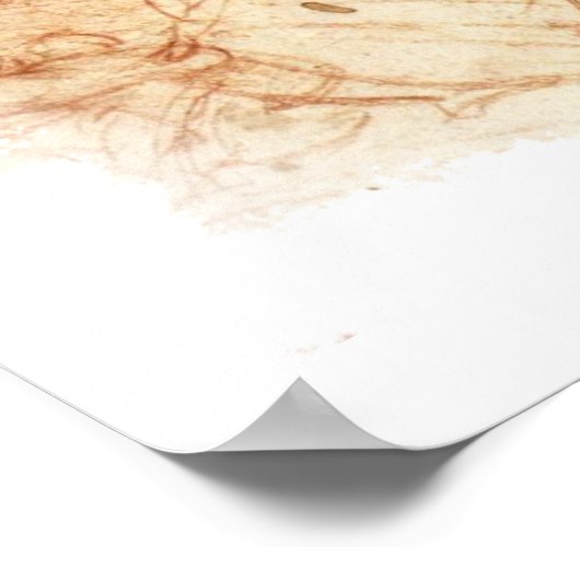 da Vinci - Man en paarden Poster (Hoek)