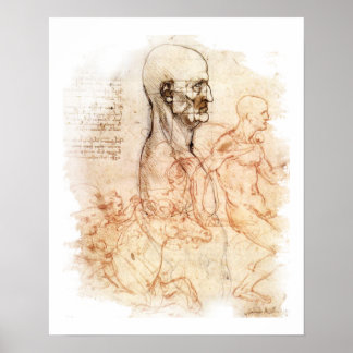 da Vinci - Man en paarden Poster