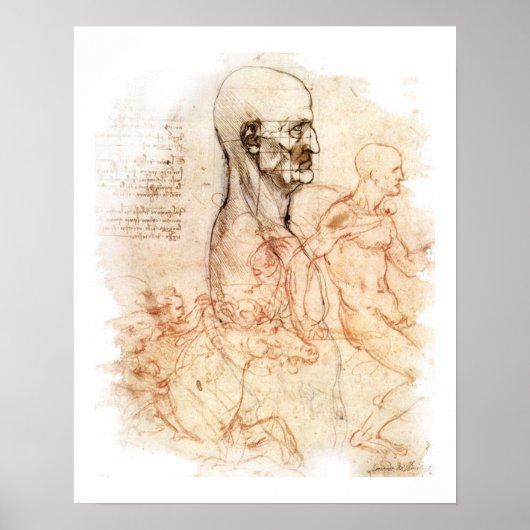 da Vinci - Man en paarden Poster (Voorkant)