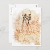 da Vinci — Man- en paardenketch Briefkaart (Voorkant / Achterkant)