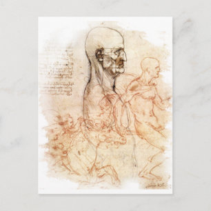 da Vinci — Man- en paardenketch Briefkaart