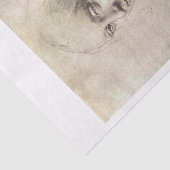 Da vinci meisje onderaan ontkoppeling tissuepapier (Detail)