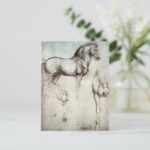 Da Vinci Paard Studie Renaissance Schets Schets Sc Briefkaart (Staand voorkant)