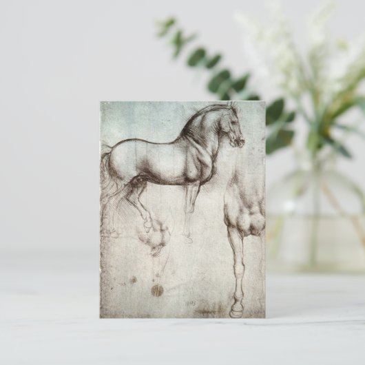 Da Vinci Paard Studie Renaissance Schets Schets Sc Briefkaart (Staand voorkant)