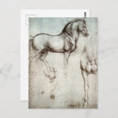 Da Vinci Paard Studie Renaissance Schets Schets Sc Briefkaart (Voorkant / Achterkant)
