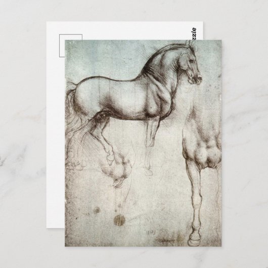 Da Vinci Paard Studie Renaissance Schets Schets Sc Briefkaart (Voorkant / Achterkant)