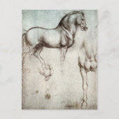 Da Vinci Paard Studie Renaissance Schets Schets Sc Briefkaart (Voorkant)