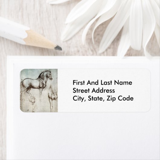 Da Vinci Paard Studie Renaissance Schets Schets Sc Etiket (Insitu)