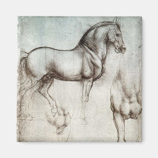 Da Vinci Paard Studie Renaissance Schets Schets Sc Magneet (Voorkant)