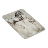 Da Vinci Paardenmagneet Magneet (Rechterzijde)