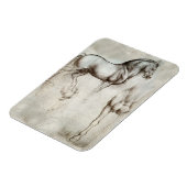 Da Vinci Paardenmagneet Magneet (Linkerzijde)