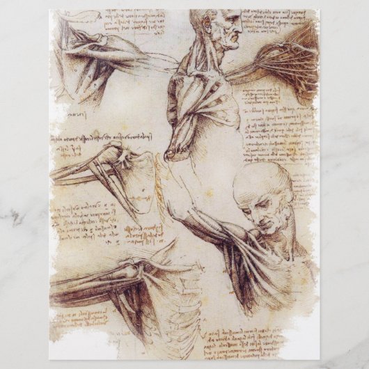 da Vinci - Shoulder Sketch Flyer (Voorkant)