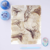 da Vinci - Shoulder Sketch Flyer (Enkel)