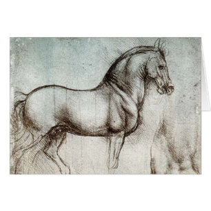 Da Vinci Studie van een Paard Renaissance Fine Art