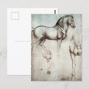 Da Vinci Studie van een Paard Renaissance Fine Art Briefkaart