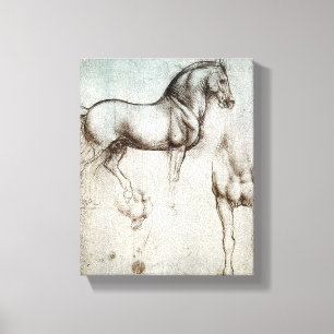 Da Vinci Studie van een Paard Renaissance Fine Art Canvas Afdruk