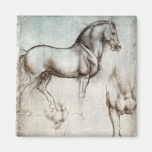 Da Vinci Studie van een Paard Renaissance Fine Art Magneet