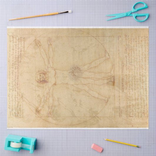 Da Vinci Vitruvian Man Decoupage Paper Tissuepapier (Craft)