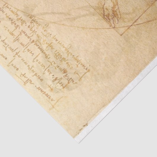 Da Vinci Vitruvian Man Decoupage Paper Tissuepapier (Detail)