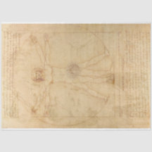 Da Vinci Vitruvian Man Decoupage Paper