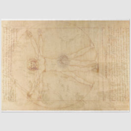 Da Vinci Vitruvian Man Decoupage Paper Tissuepapier