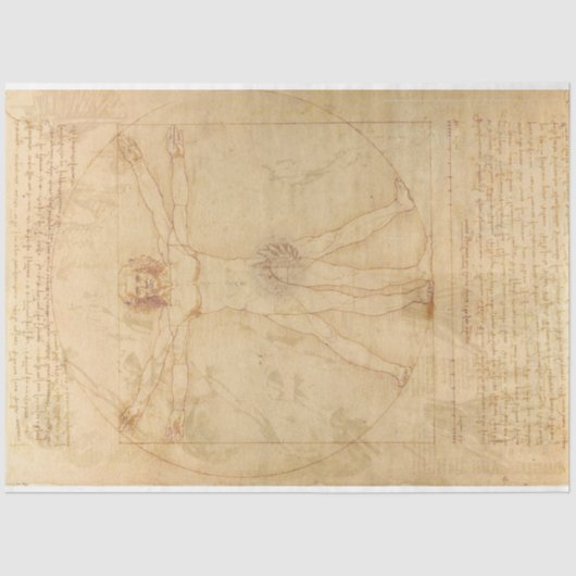 Da Vinci Vitruvian Man Decoupage Paper Tissuepapier (Voorkant)