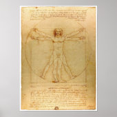 Da Vinci Vitruvian Man Poster (Voorkant)