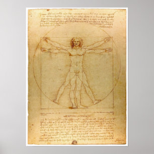Da Vinci Vitruvian Man Poster