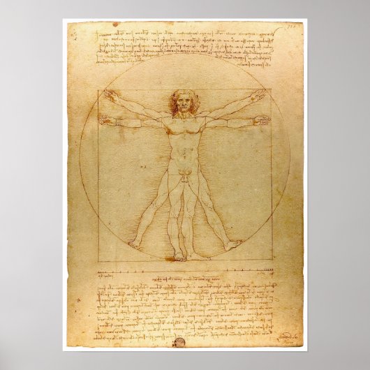 Da Vinci Vitruvian Man Poster (Voorkant)